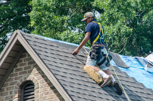 Best New Roof Installation  in Sidy, NE
